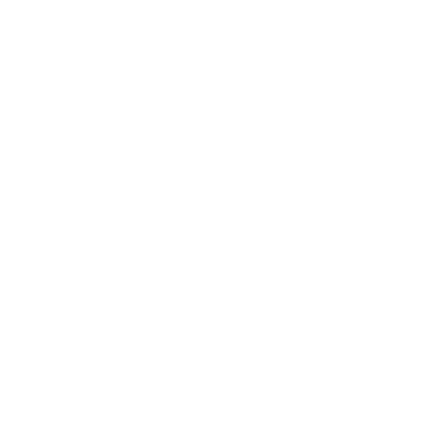 Weißes Logo von Richard Reitzle auf transparentem Hintergrund – Fachbetrieb für Heizung, Sanitär und Klima in Pfaffenhofen an der Roth